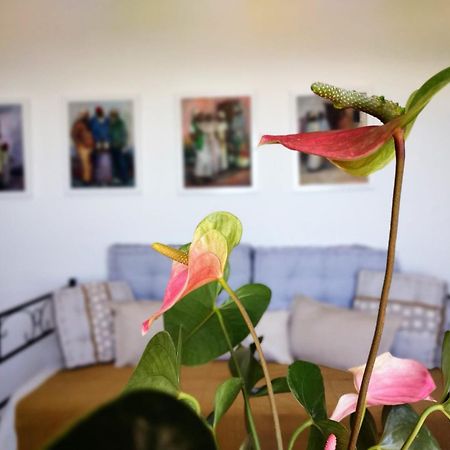 Casa Arte De Sorvilán Екстериор снимка