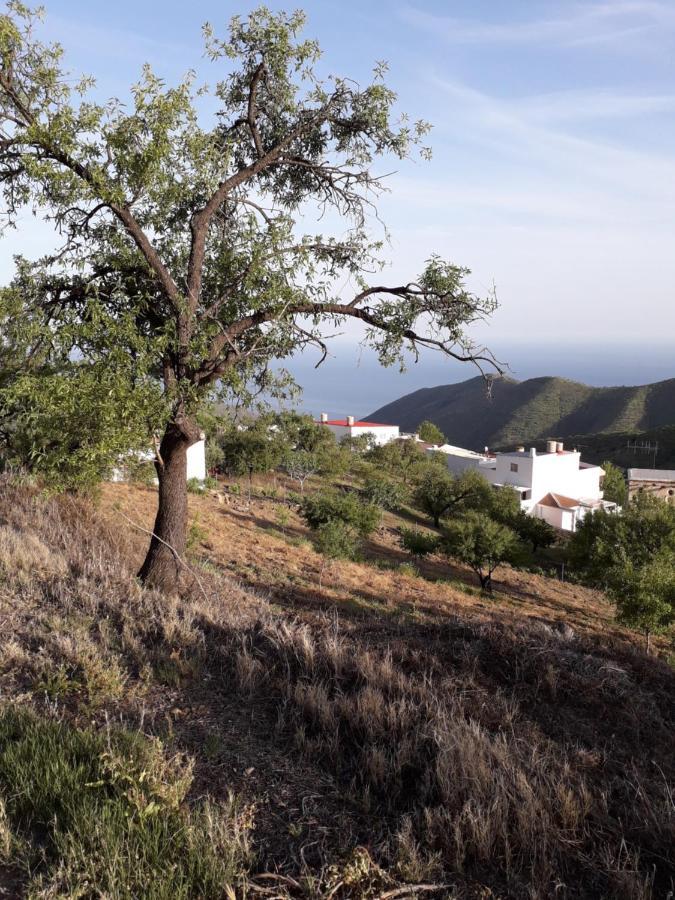Casa Arte De Sorvilán Екстериор снимка